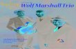 Presents the Wolf Marshall Trio · Wolf plays and praises Wolf Marshall TrioPresents the. HANDMADE STRINGS SINCE 1919 . Created Date: 1/11/2010 11:15:49 AM ...
