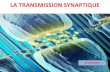 LA TRANSMISSION SYNAPTIQUE¨me... · 2020. 4. 5. · 2- Principes de la transmission synaptique chimique Chaque terminaison S contient des organismes sécrétoires, les vésicules