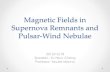MagneticFieldsin SupernovaRemnantsand) mizuno/plastro/Final/Presentation1-1.pdfآ  â€¢ The question of