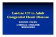 Cardiac CT in Adult Congenital Heart Disease · 2013. 12. 5. · TETRALOGY FALLOT ... Microsoft PowerPoint - Foley - 2011 Presentation Cardiac CT in Adult Congenital Heart Disease.ppt