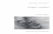 Virvelgator i atmosfären - DiVA portal427996/FULLTEXT01.pdf · Referat Virvelgatoriatmosfären,ChristoﬀerHallgren De virvelgator som bildas i atmosfären bakom höga berg på öar