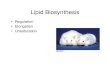 Fatty Acid Elongation and Desaturationwou.edu/~guralnl/451lipidbiosynthII.pdf · • Activated by citrate, inhibited by Palmitoyl CoA • Malonyl CoA inhibits: Carnitine acyl transferase