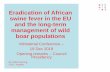 Eradication of African swine fever in the EU and the long ......2018/12/19  · Eradication of African swine fever in the EU and the long-term management of wild boar populations Ministerial
