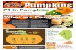 Pumpkins - agintheclassroom.orgagintheclassroom.org/TeacherResources/AgMags/Pumpkin Ag Mag_… · Pumpkins #1 in Pumpkins Illinois farmers grow more pumpkins than anywhere else in