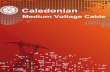 Medium Voltage Cable - Caledonian Cables Ltd Voltage Cables.pdf · cables, it is of aluminium wires and for multicore cables, the armour can be of one among the following options:
