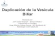 Duplicación de la Vesícula Biliar · 2019. 6. 18. · –Colecistitis aguda y empiema vesicular –Colecistitis crónica y fístulas colecistocoledocianas –Torsión vesicular,