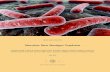 Tuberculose: Novas Abordagens Terapêuticas Serras.pdf · MDR – TB – Tuberculose multirresistente XDR – TB – Tuberculose extensivamente resistente ... bactéria, por exemplo,