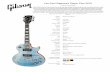 One for the Road - Gibson...Les Paul Signature Player Plus 2018 One for the Road New for 2018 the Les Paul Player Plus range has been designed specifically for the avid player who