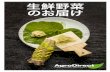 生鮮野菜 のお届け...AgroDirect は2010年に創業されました。元銀行マンであったトーマス・ビックは日本 に住む友人の影響を受け日本という国