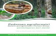 dalam pengelolaan Hutan Desa: pembelajaran dari Jambiapps.worldagroforestry.org/downloads/Publications/PDFS/MN16112.pdfKemasyarakata (HKm), Hutan Tanaman Rakyat (HTR) dan Hutan Adat.