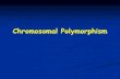Chromosomal Polymorphism - Shandong Universitycourse.sdu.edu.cn/.../20120413111546_993098916042.pdf · 2012. 4. 13. · of sex-reversed individuals and “chromosome walking” to