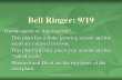 Bell Ringer: 9/19sammonssci.weebly.com/.../9-19_plant_transport_ppt.pdfIncludes mosses (Bryophyta), liverworts (Hepatophyta), and hornworts (Antherophyta) Liverworts copyright cmassengale