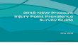 Pressure Injury Point Prevalence Survey Guide 2018€¦  · Web viewThe point prevalence survey aims to: Identify pressure injury prevalence within the organisation. Identify core