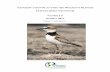 Version 1.0 October 2013 - WHSRN · 2019. 4. 2. · two beach-nesting species that share very similar habitats, associated conservation threats, and concerns as the Wilson’s Plover.
