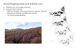 Island Biogeography and Habitat Loss...Island Biogeography and Habitat Loss 1. Habitat loss and fragmentation 2. Lessons from islands • Effects of patch area and shape on species