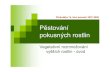 Pěstování pokusných rostlinold.botany.upol.cz/prezentace/kristkova/PRBP7a.pdfD. Regenerace v užším slova smyslu (základ pro řízkování) k obnově ztracených částí dochází