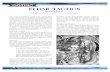 82-95 BFG Eldar TacticsA comprehensive treaty on Eldar tactics in Battlefleet Gothic. 82 Defense and Shields Eldar defences are also sophisticated – and they’d better be, because