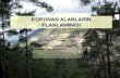 KORUNAN ALANLARIN PLANLANMASI29 Mart 2017 - Trabzon Koruma Hedefleri-II Park içindebulunan bir çokbitki ve hayvan türü(benekli alabalık,yırtıcıkular, yaban keçisi,su kara