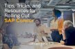Tips, Tricks, and Resources for Rolling Out SAP Concur Out Kit UK 2020.pdf · 3 Change Management & Executive Sponsorship 4 Your Internal Team 5 Your SAP Concur Team 6 The Administrator