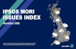 IPSOS MORI ISSUES INDEX...Ipsos MORI Issues Index | Public Source: Ipsos MORI Issues Index November 2020 What do you see as the most/other important issues facing Britain today? Base: