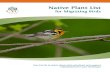 Native Plant List · 2020. 8. 11. · In spring, many birds rely on spiders and insects such as caterpillars, flies, bees and midges to give them the energy to travel to their next