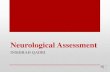 Neurological Assessment · Neurological S. Examination IMPORTANT AREAS OF EXAMINATION Mental status—Behavior and Mental Status.(level of consciousness & orientation). Cranial nerves