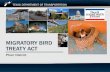 Migratory bird treaty act - Texas A&M University · 2017. 10. 5. · – Reminder there are ground nesting birds, birds that nest is structures, as well as tree nesting birds –