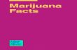 Marijuana Facts - Drug Policy Alliance · 2020. 11. 19. · legalize marijuana. 6 Marijuana Facts Absolutely. For many seriously ill people, medical marijuana is the ... In states