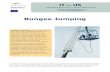 Bungee Jumping Module - OEIIZK EN.pdf · Bungee Jumping Module - 2 A. Introduction 1. Background theory 1. INTRODUCTION A bungee jumper launches himself from a platform to which he