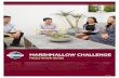 MARSHMALLOW CHALLENGE 2020. 11. 27.آ  Facilitator Guide Team-building Workshop: Marshmallow Challenge