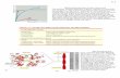 Presentación de PowerPointbc1vimoj/transparencias/T05.pdf · 2004. 3. 3. · BINDING TO ACTIN MONOMERS AND . contractile bundle gel -live tight parallel bundle de forma de actin.