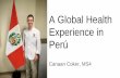 A Global Health Experience in Perú Canaan_Peru.pdf · Maryory at her private pain clinic Dra. Maryory at INEN. MOST PROFOUND CULTURAL EXPERIENCE: Institutional Anxiety Advanced stage