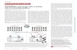 CORONAVIRUS Autoantibodies against type I IFNs in ......RESEARCH ARTICLE SUMMARY CORONAVIRUS Autoantibodies against type I IFNs in patients with life-threatening COVID-19 Paul Bastard*†