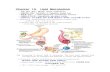 Biochem11-10 Lipid metabolism - contents.kocw.netcontents.kocw.net/document/Biochem11-10 Lipid metabolism.pdf · 2012. 1. 19. · T"yEuza{|JK}~E =u 4) Oxidation of ... Regulation