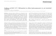 Failure of GLP-l(7–36)amide to affect glycogenesis in rat skele tal … · 2017. 8. 28. · Diabetologia (1995) 38:864-867 Diabetologia 9 Springer-Verlag 1995 Failure of GLP-1(7-36)amide