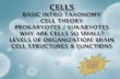 Cells Cell Structure & Function Cells & Energy Cell Growth ......Kingdom Fungi: Cell walls are made of chitin, obtain energy by secreting enzymes and absorb the products they release.