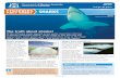 FISHERIES SHARKS FACT SHEET - YR4 @ WPSmrsrclassroom.weebly.com/.../26745482/fact_sheet_sharks.pdf · 2019. 8. 14. · pygmy shark, which grows up to 30 centimetres long, to the whale