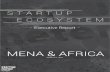 MENA & AFRICA - enpact · 2019. 8. 14. · accelerators, coworking spaces, and incubators – and the Macro domain focused on the political, legal and crime context. What makes an