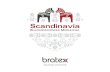 bratex folder scandinavia 260x210 01.2016 - Duopolrozwiązania spółki Bratex Dachy wpływające na łatwość instalacji oraz maksymalną trwałość produktu. Zastrzeżony wzór