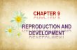 9.3 Fertilization and Foetal Development & Parturition€¦ · Human Reproductive System Embryogenesis FOETAL DEVELOPMENT ROLE OF HORMONES FERTILIZATION Stages in fertilization Capacitation