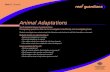 Animal Adaptations - Great Barrier Reef Marine Park … · Year 5 Science – Animal Adaptations Version 0.2 2 Great Barrier Reef Marine Park Authority Teacher Notes: Unit overview