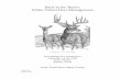 Back to the Basics White-Tailed Deer Managementtexnat.tamu.edu/files/2010/09/Proceedings-WTDSG-2008.pdf · 2010. 11. 10. · Back to the Basics . White-Tailed Deer Management . Proceedings