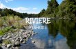 RIVIERE - Microsoft · 2020. 4. 30. · riviere tevorm. vKlein riviere kanin groterriviere invloei. v‘n Spruit of rivierwat in ‘n groterrivierinvloei, word ‘n sytakgenoem. v‘n