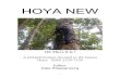 HOYA NEW · 2013. 11. 10. · Hoya marvinii Kloppenburg, Mendoza & Ferreras ISSN 2329-7336 Hoya marvinii Kloppenburg.Mendoza & Ferreras sp. nova holotypus 14652 (PUH) hic designatus,