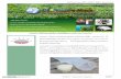 AGRANA AGENACOMP - PIUplastic.oie.go.th/Bioplastic/BioPlasticNewsVol01_21Jan...AGRANAท าการแปรร ปว สด จากเกษตรเป นส นค าส
