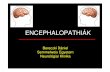 ENCEPHALOPATHIÁK - Semmelweis Egyetem · 2015. 3. 12. · Az encephalopathia klinikai definíciója • Az encephalopathia az agy azon állapotára utal, melyben az agy normális