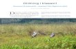 Taxonomi & systematik – exempel från fåglarnas värld · 2016. 7. 14. · Kategori Exempel Domän Eukarya (eukaryoter) Stam (fylum) Chordata (ryggsträngsdjur) Understam Craniata