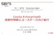 Corda Enterpriseの 技術的特徴とユースケースのご紹介 - TIS ......2020/05/27  · Cordaの成り ち 3 •価値移転 •公開取引 第 世代 第 世代 第三世代
