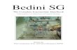 Bedini SGthe-eye.eu/public/concen.org/Bedini SG Intermediate... · 2017. 8. 31. · Bedini SG, the Complete Beginner’s Handbook, the entire Bedini SG world has been taken to the