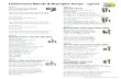 Letterland Blends & Digraphs Songs – Lyrics...Letterland Blends & Digraphs Songs – Lyrics Track 1 The Letterland Bells ing / ang / ong / ung Ing! Ang! Ong! Ung! Ing! Ang! Ong!